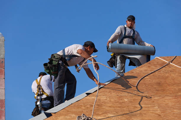 Best Local Roofing Companies  in Wescosville, PA